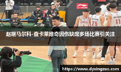赵继马尔科-查卡莱维奇因伤缺席多场比赛引关注