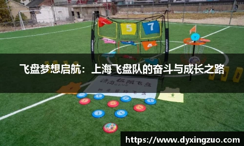 飞盘梦想启航：上海飞盘队的奋斗与成长之路